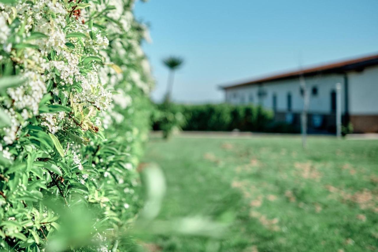 La Massaria Agriresort Orta Nova Exteriér fotografie
