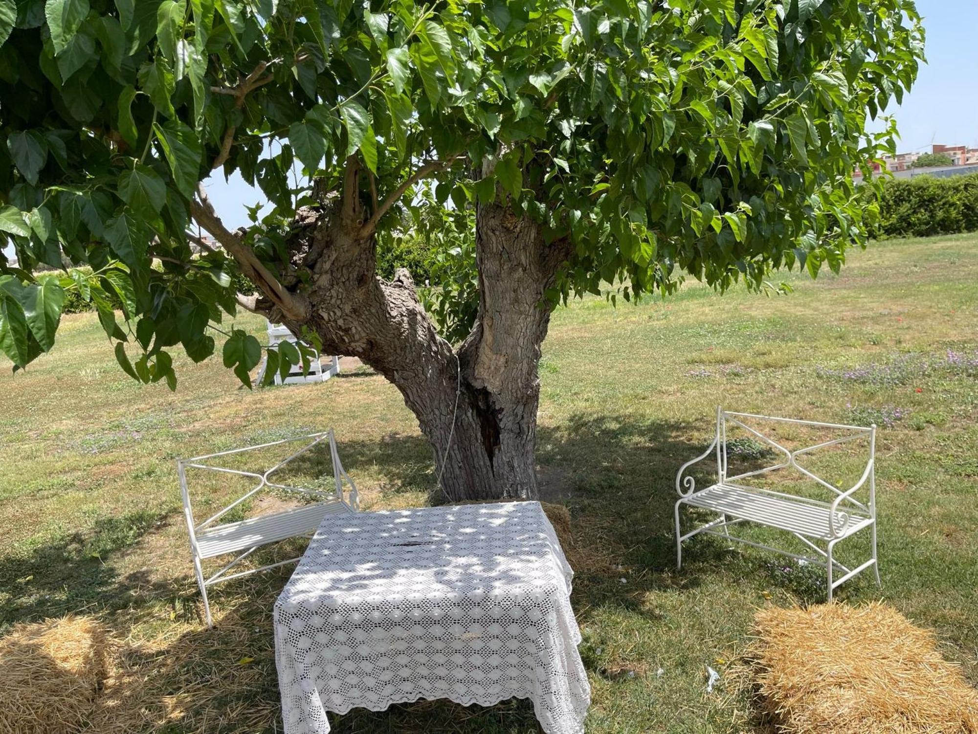 La Massaria Agriresort Orta Nova Exteriér fotografie