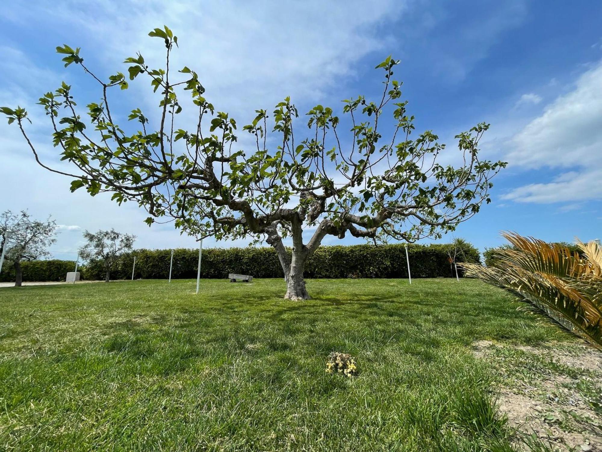 La Massaria Agriresort Orta Nova Exteriér fotografie