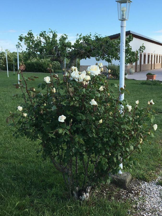 La Massaria Agriresort Orta Nova Exteriér fotografie