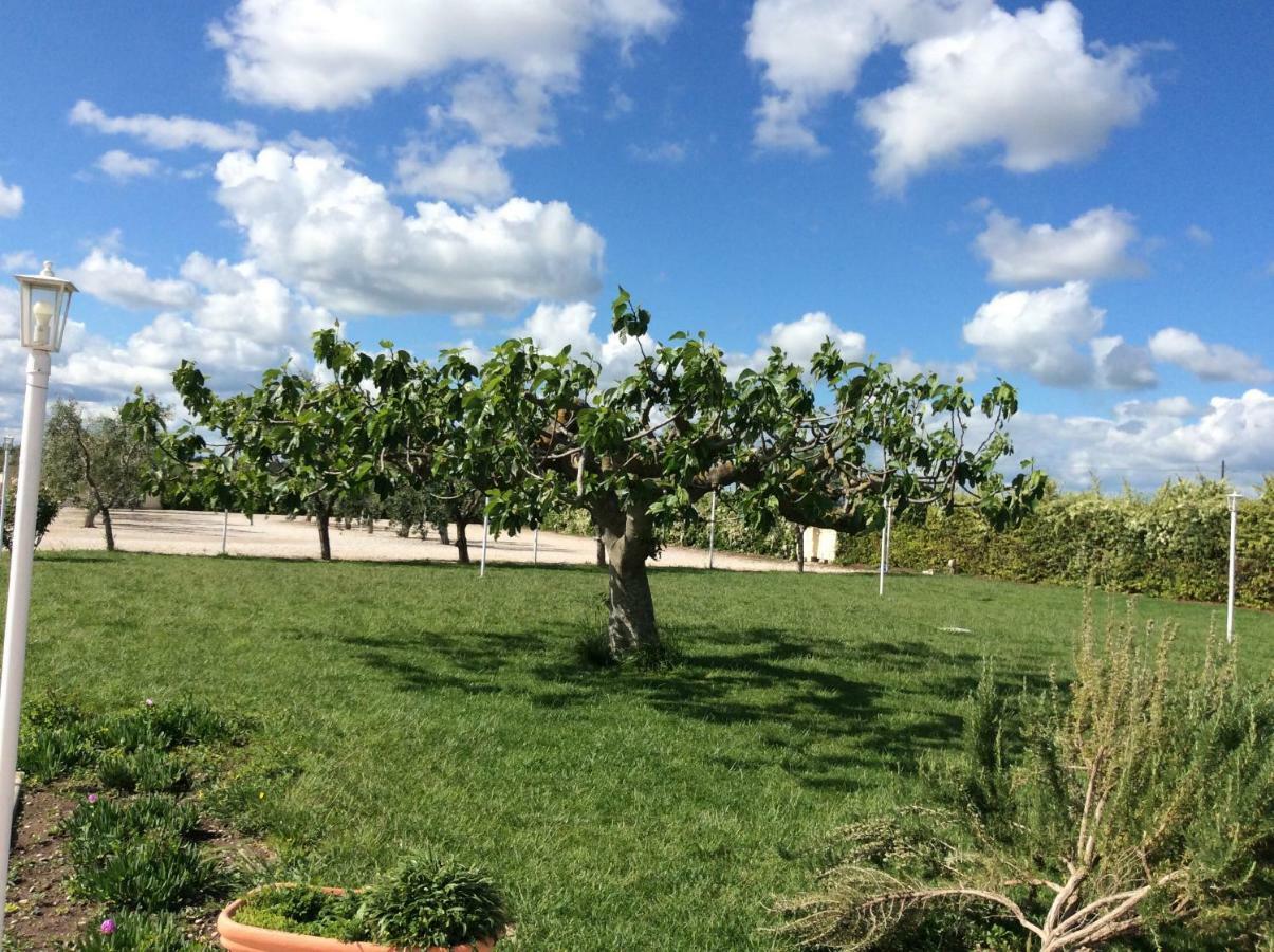 La Massaria Agriresort Orta Nova Exteriér fotografie